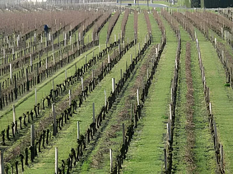 Le printemps est dans l'air