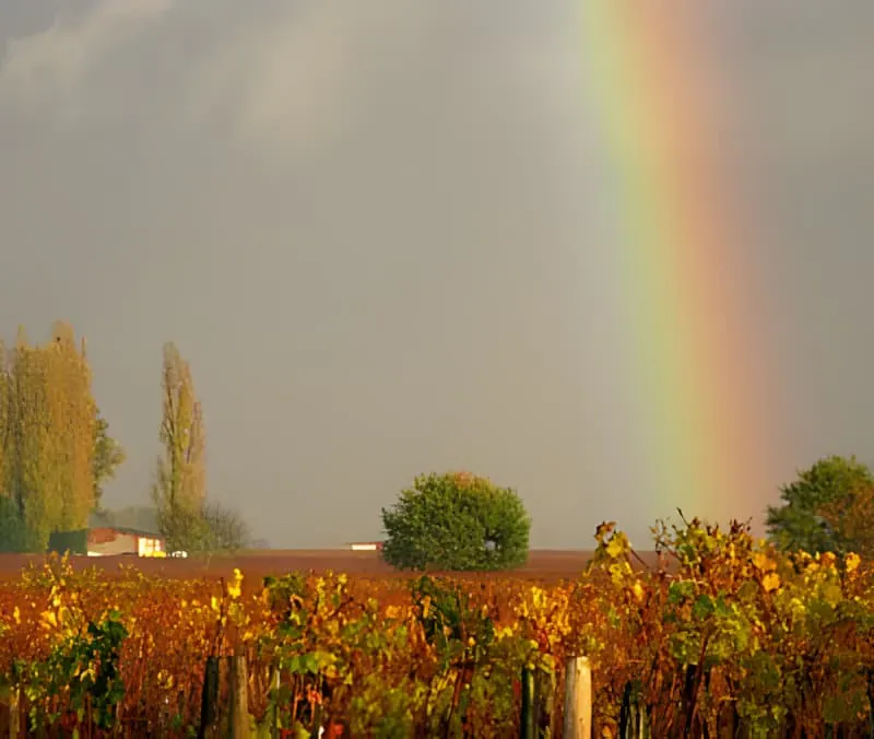 Beauté d'Automne