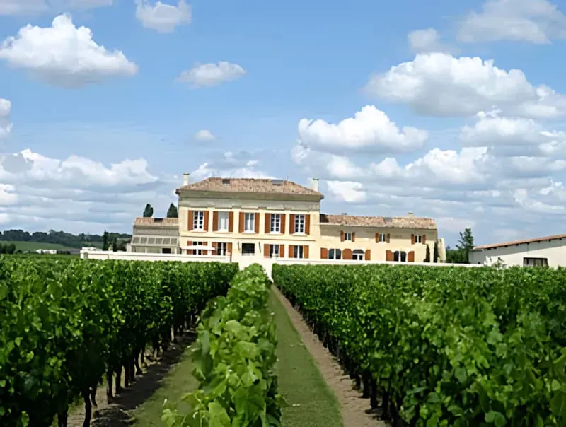 Vin de terroir
