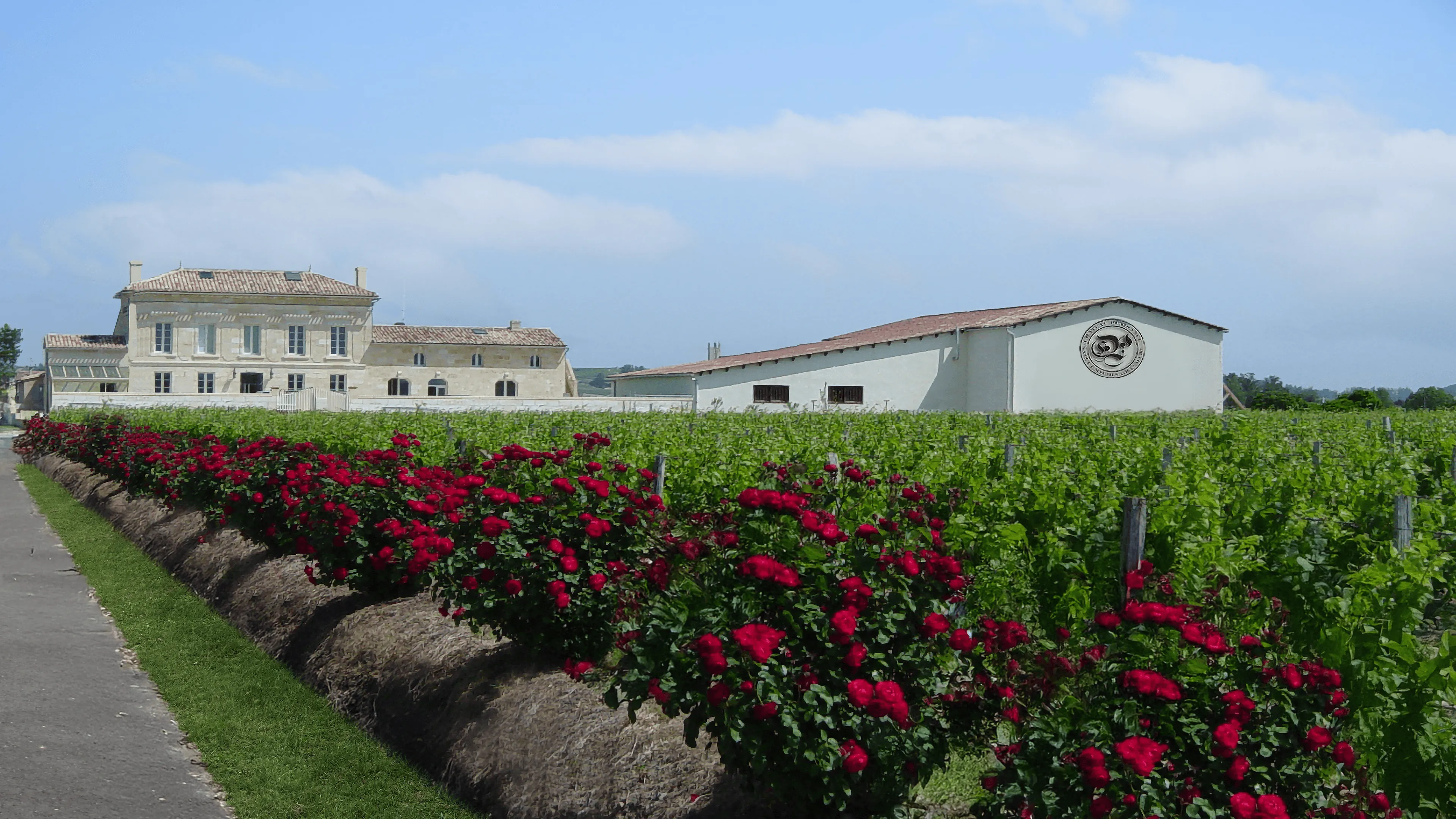 Le domaine viticole familial du Château Plaisance à Saint-Émilion, producteur de vins de Bordeaux Grand Cru depuis 1881. L'image montre le vignoble, le château traditionnel et les chais modernes sous un ciel bleu, avec des roses rouges au premier plan.
