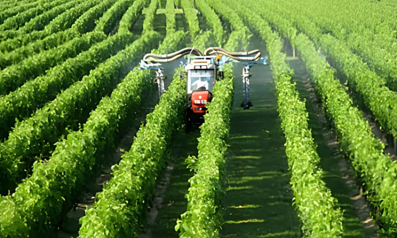 Un tracteur avec de l'équipement de pulvérisation travaillant entre les rangs de vignes vertes, appliquant des traitements pour protéger la récolte.