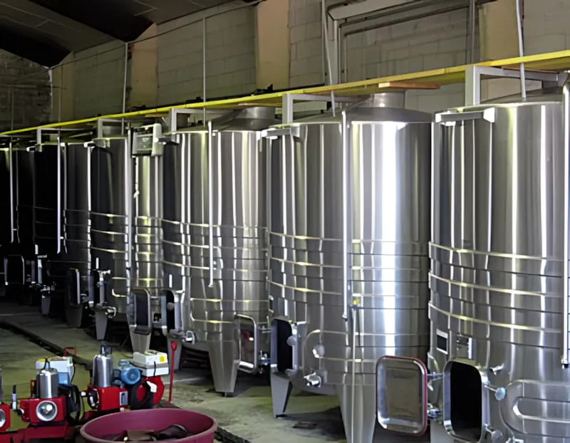 Une rangée de grandes cuves de fermentation en acier inoxydable à température contrôlée dans une cave de chai, représentant un équipement de vinification moderne.