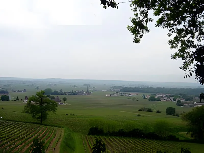Une vue panoramique de vignobles verts vallonnés et de campagne s'étendant à l'horizon sous un ciel partiellement nuageux.