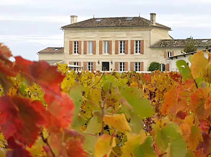 Maison du Château Plaisance encadrée par le feuillage vibrant du vignoble d'automne