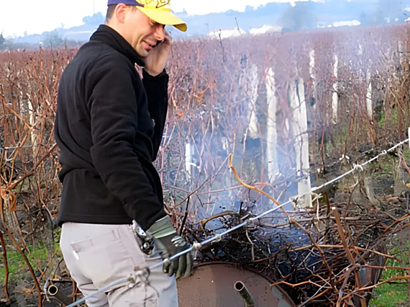 Ouvrier brûlant des sarments de vigne taillés dans l'entretien hivernal du vignoble