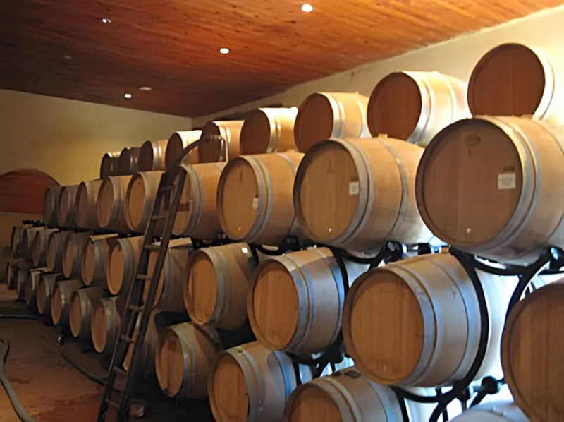Chai à fûts de chêne français avec configuration de vieillissement systématique pour vins de terroir